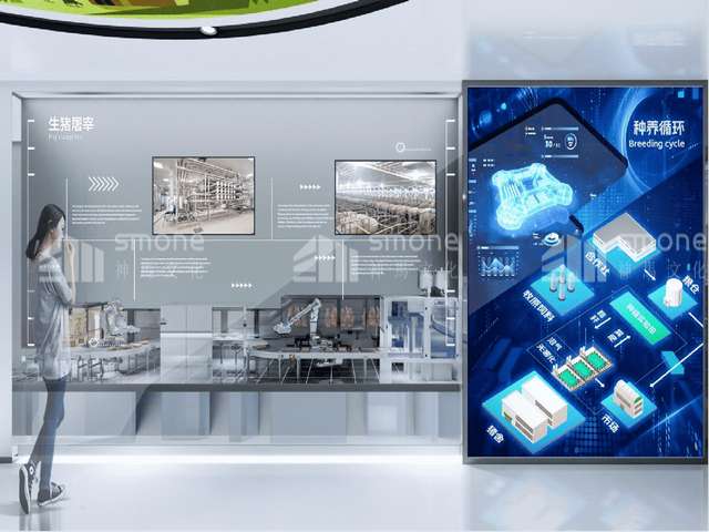 波兰服务好的水洗羽毛羽绒进口报关门到门服务